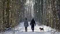 Sneží, fúka a je vonku zima? Ideálny čas na vašu zdravotnú prechádzku