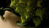 V bratislavskom supermarkete si kúpil rímsky karfiol, doma mu z neho vybehol škorpión