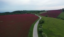 Raj pre fotografov i romantikov: O toto miesto na Slovensku do koronakrízy nikto ani nezavadil