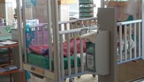 Pes napadol dievčatko (5), dohrýzol ju do hlavy a krku. Tu sú podrobnosti útoku