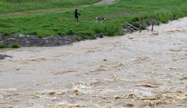 Pobaltské štáty postihli silné búrky, o život prišla jedna žena