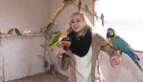 To, čo uvidíte na videu sa do vysielania nikdy nedostalo