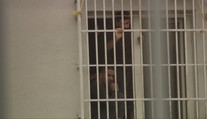 Viacerí migranti v záchytnom tábore v Medveďove držia protestnú hladovku. Sťažujú sa na zlé podmienky