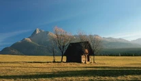 Kedysi ich tu boli stovky, dnes zostal zrejme jediný. Slováci zachraňujú 130-ročný unikát