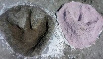 FOTO: Objavili križovatku dinosaurích ciest. V kameňolome sa nachádzajú stovky stôp