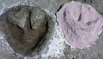 FOTO: Objavili križovatku dinosaurích ciest. V kameňolome sa nachádzajú stovky stôp