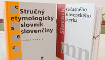 Ochrana jazyka či potláčanie menšín? Ministerstvo kultúry pripravuje novelu zákona o štátnom jazyku