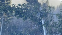Na Slovensku besní vietor. Meteorológovia varujú pred nebezpečnými nárazmi