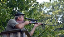 Kvôli africkému moru zastrelia všetky diviaky v najväčšej zvernici na východnom Slovensku
