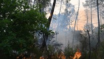 Apokalypsa v obľúbených dovolenkových destináciách. Státisíce ľudí utekajú z domovov, evakuovali aj Slovákov