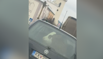 Neuveríte vlastným očiam. Vodič na Spiši prevážal v kufri auta kuriózny náklad