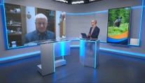 Africký mor ošípaných je hrozbou pre slovenské chovy. Je konzumácia bravčového mäsa bezpečná?
