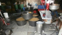 FOTO: Myší trus a pleseň. Inšpektori odhalili nelegálnu výrobňu tofu