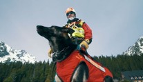 Priateľstvo človeka a psa až do posledného výdychu. Dvojica sa preslávila záchranami mnohých životov