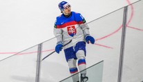Pomohli Slovensku rozhodcovia? Českí experti v tom majú jasno, hodnotili viacero momentov
