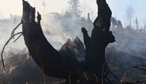 Výročie havárie DC-3: Letenka do Košíc na vlastnú svadbu sa jej stala osudnou