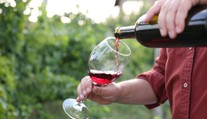 Ktorý druh alkoholu spôsobuje viac tuku na bruchu – víno, pivo alebo liehoviny?