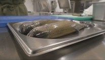 Ako očistiť a pripraviť ryby na sviatočný stôl? Skúsení odborníci sa podelili o užitočné tipy a triky