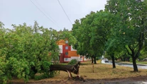 Juhom stredného Slovenska sa prehnala búrka. Stromy popadali aj na elektrické vedenie