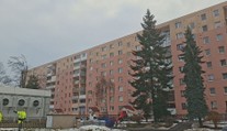 Mali skrášľovať sídliská, ale už sú z nich obry. Gigantické stromy ohrozujú autá, bytovky aj ľudí