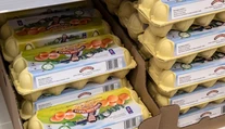 Najväčšie reťazce sa zaviazali skončiť s predajom vajec z klietkového chovu. Ako sa im v tom darí?