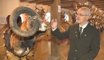 Obdivovatelia poľovníckych trofejí majú sviatok. Vo Svätom Antone vystavili aj exponát svetového významu