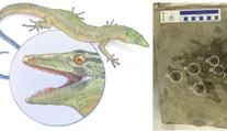 Vedci odhalili záhadného tvora, ktorý rúca predstavy o evolúcii. Môže pomôcť vyriešiť dávnu záhadu