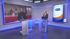 Karolína Janičíková: Dianie v parlamente