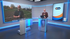 Branislav Tomaga: Zrážka kamiónu s vlakom