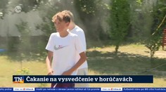 29. 6. 2026