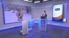 Karolína Janičíková: Námraza pretrváva