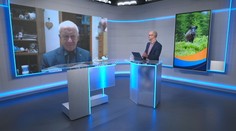 Jozef Bíreš: Riziká afrického moru ošípaných