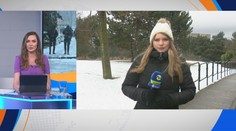 Andrea Šeligová: Snehová vlna dorazila na Slovensko