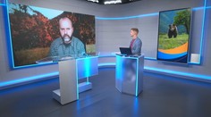 Pavol Žídek: Ďalší útok medveďa