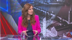 Aneta Világi: Česko volí - Slovensko v českej politike