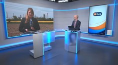 Andrea Šeligová: Na Slovensko opäť tečie ruská ropa