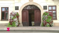18. 9. 2026