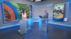 Katarína Tešla: Letná brigáda na poslednú chvíľu