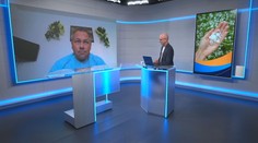 Dalibor Bán: Miliónové škody po krupobití