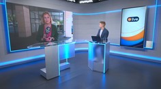 Alexandra Danilov: Vývoj nezamestnanosti