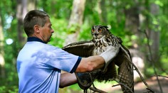 Slovensko má ôsmy zápis v nehmotnom kultúrnom dedičstve UNESCO