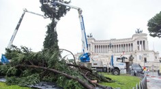 Rímsky vianočný stromček je opäť na smiech. Vyzerá, ako keby sa s ním pohrala víchrica