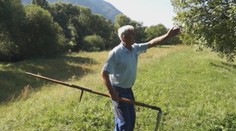 Prechádzka 14-ročného dievčaťa so psom sa skončila údajným útokom suseda s kosou
