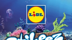 Exkluzívne opäť v Lidli: Stikeez sú späť!