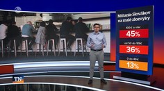 Malé radosti, veľké straty