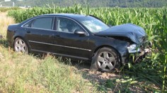 Laššáková sa po nehode zotavuje. Jej limuzína nehodu nespôsobila