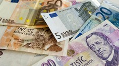 České firmy tlačia na prijatie eura, Sobotka a Babiš to odmietajú