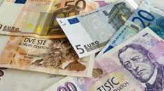 České firmy tlačia na prijatie eura, Sobotka a Babiš to odmietajú