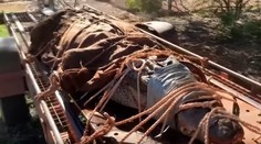 VIDEO: Ochranárom sa podaril parádny úlovok. Chytili krokodíla veľkého ako auto