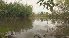 Obec pri Nitre má v čase sucha nečakaného spojenca. Dokáže zadržať vodu tam, kde by inak rýchlo odtiekla